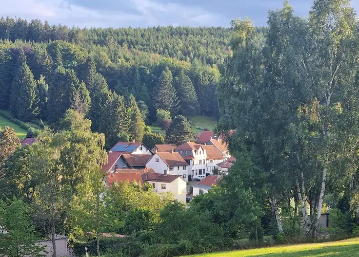 Superior - Ferienhaus am Engelsbach mit Pool im Thüringer Wald